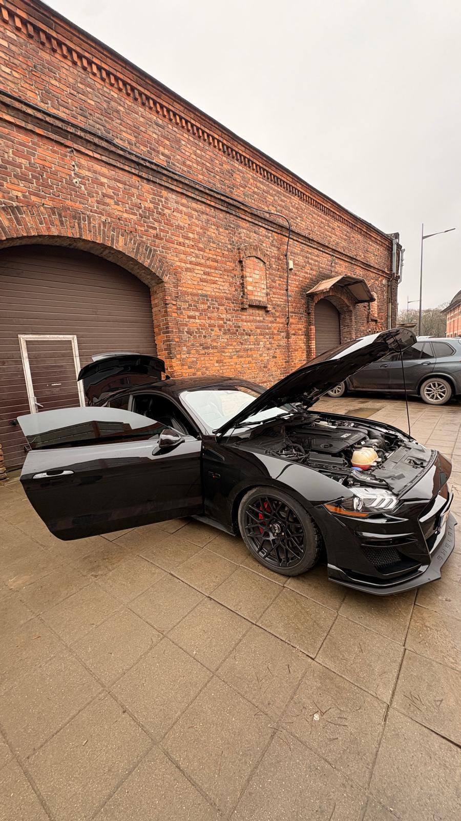 Client SS CARS - Client 6